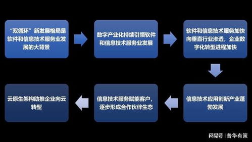 軟件和信息技術(shù)服務(wù)行業(yè) 競(jìng)爭(zhēng)格局剖析與六大核心發(fā)展趨勢(shì)