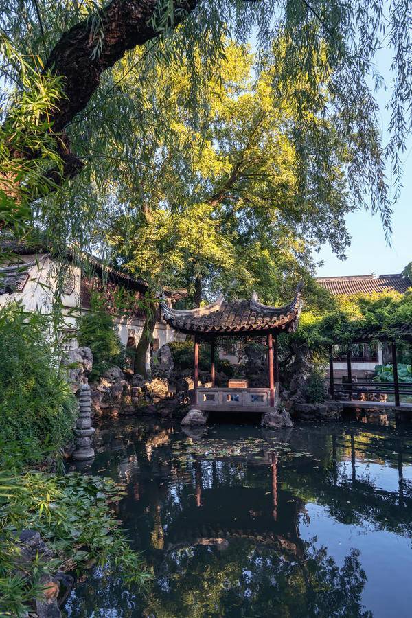 姑蘇古園 夏影里的寧靜與風華